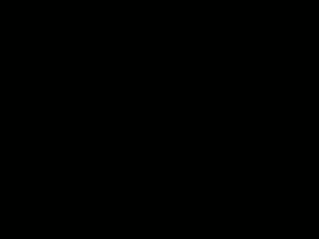 No Flash found