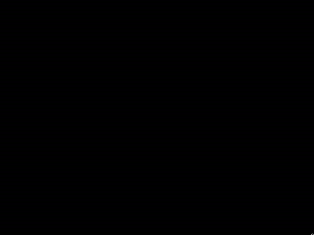No Flash found